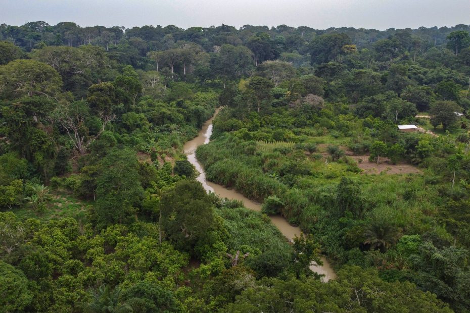Cameroon