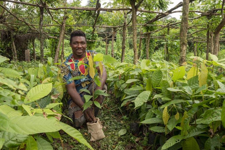 Piantagione in Cameroon