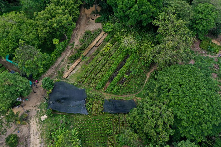 Colombia