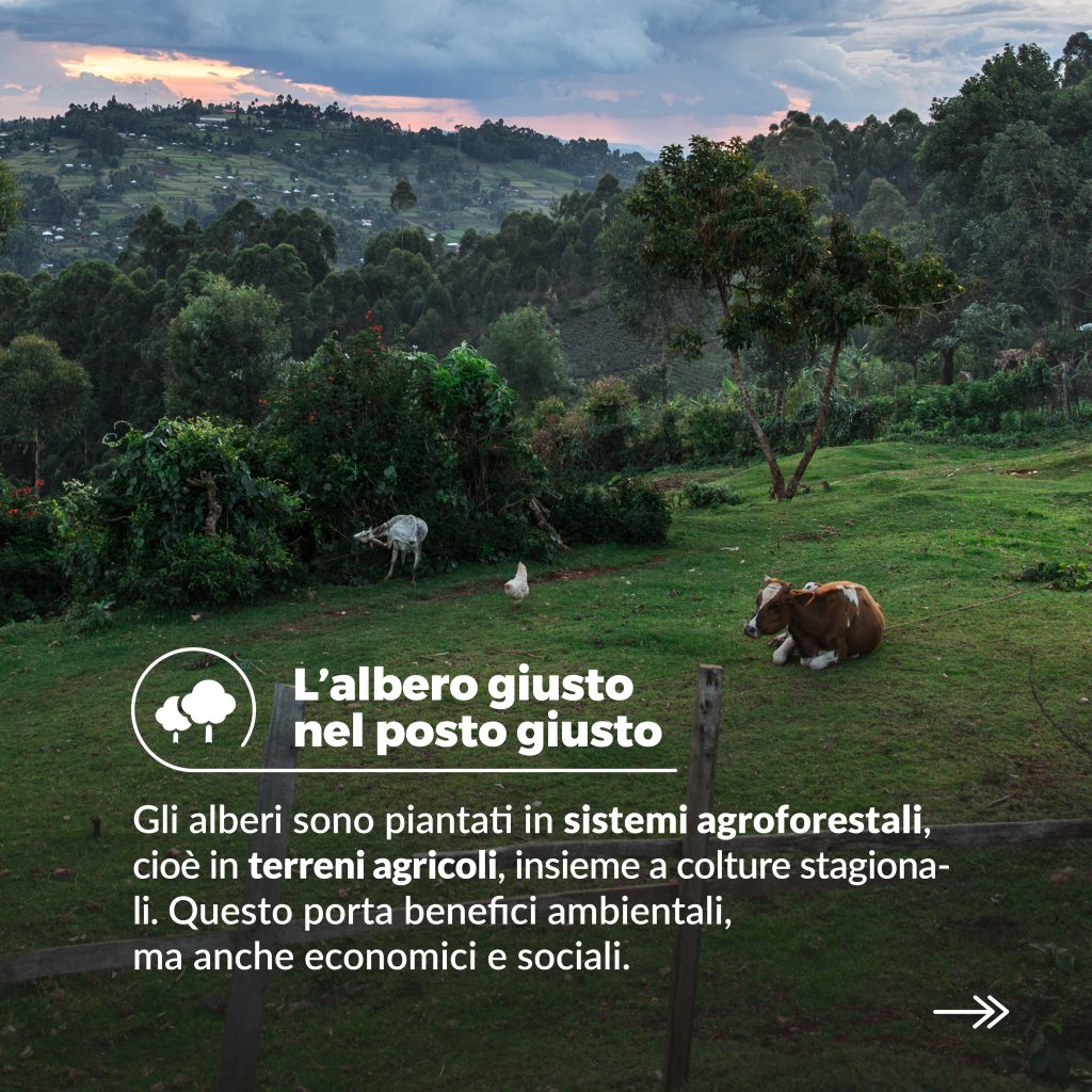 Post B_Social_Carousel_Benefits_Card 4
