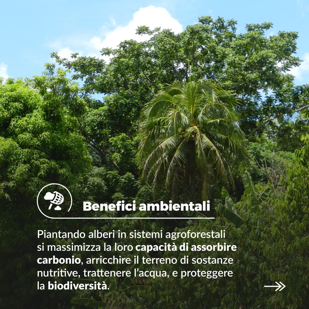 Post B_Social_Carousel_Benefits_Card 5