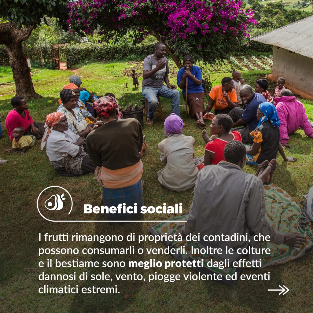 Post B_Social_Carousel_Benefits_Card 6